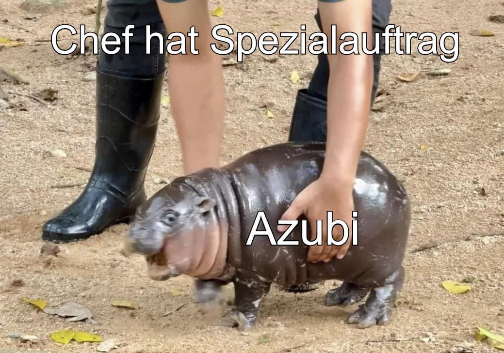 Worst Case Beispiele in der Ausbildung Teil 4 - reddit.com/r/Azubis/