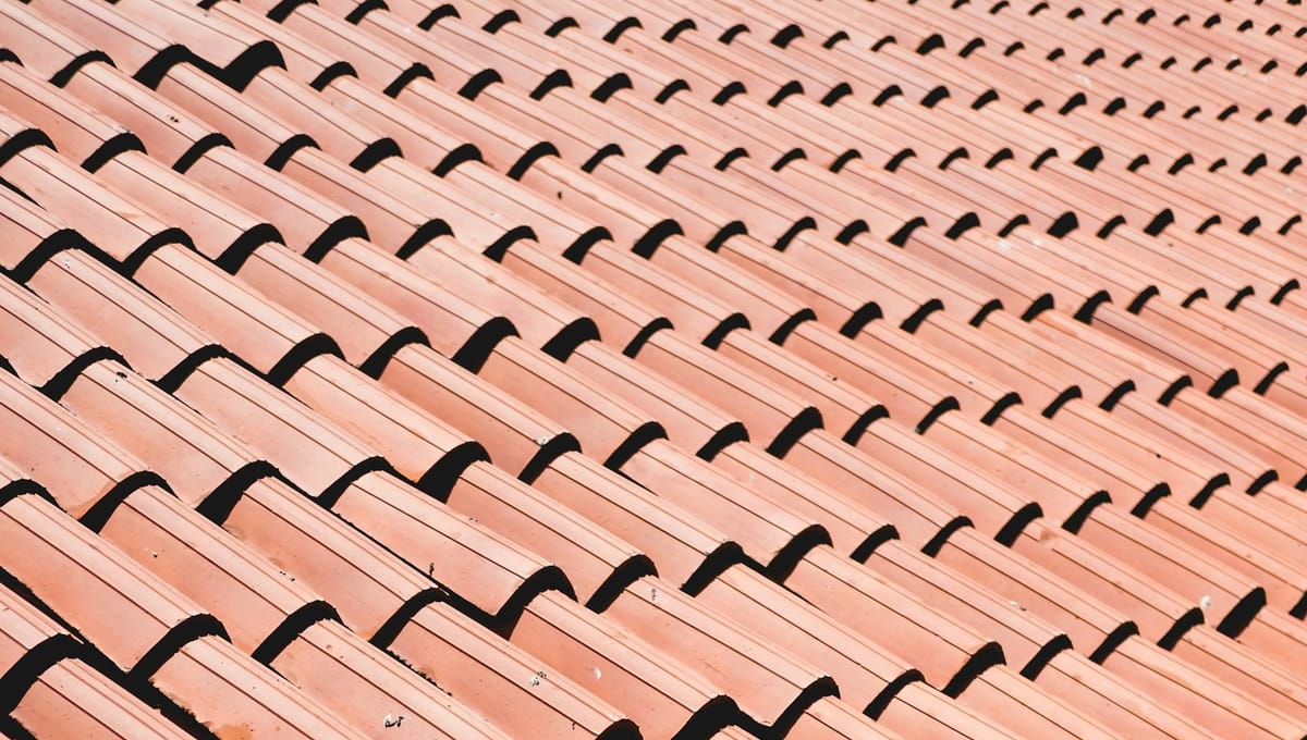 "Wir bauen ein Haus" – Wie P-Dach Jugendliche begeistert und Lehrlinge gewinnt